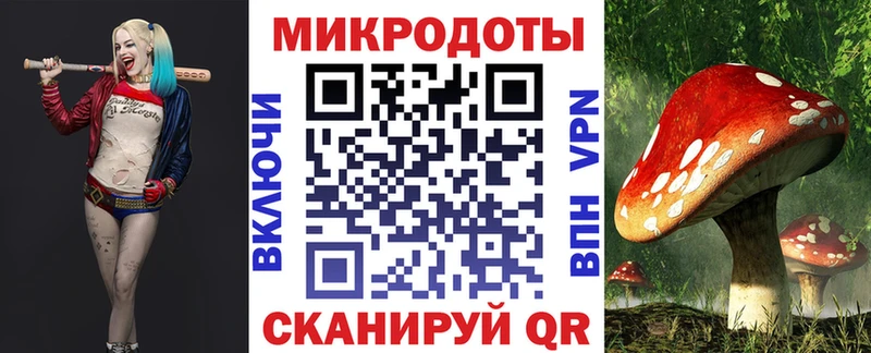 Псилоцибиновые грибы прущие грибы  как найти закладки  Назрань 