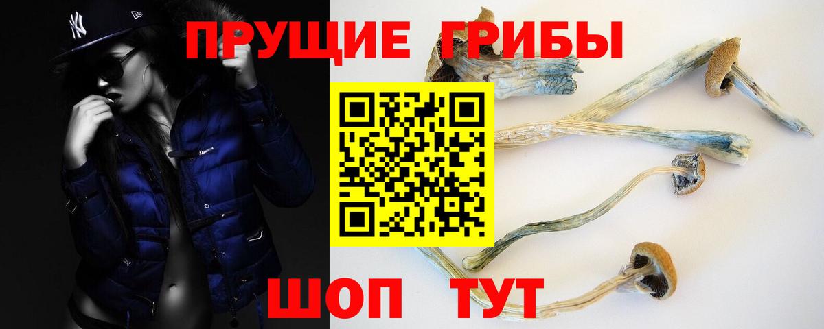 сколько стоит  Вход с VPN  Назрань  Галлюциногенные грибы Cubensis 